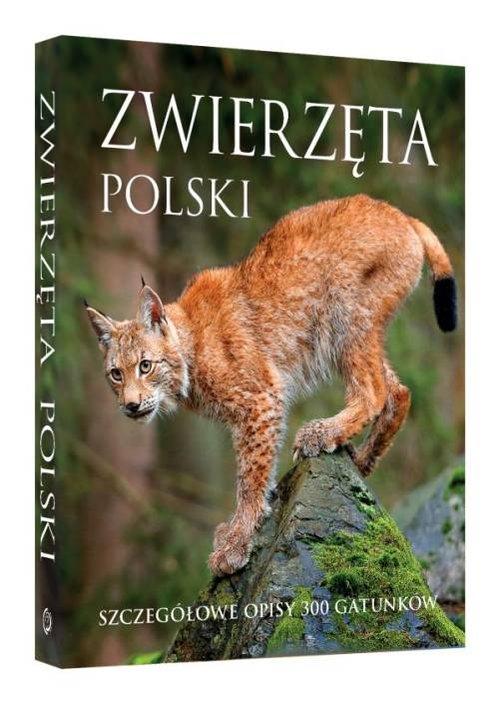 

Zwierzęta Polski. Szczegółowe opisy 300 gatunków J