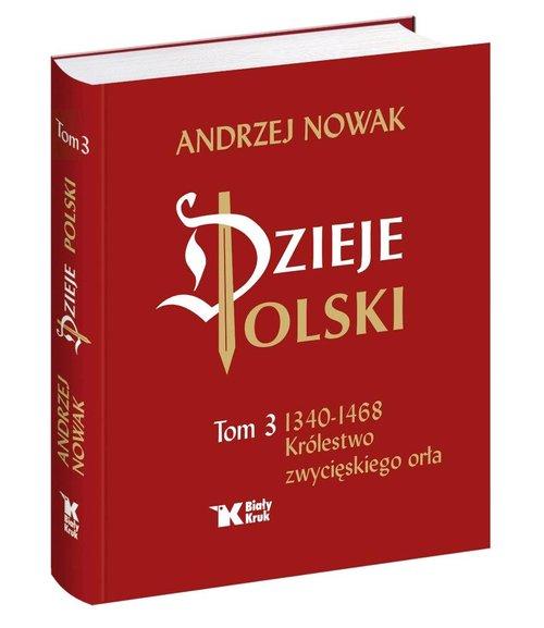 

Dzieje Polski Tom 3 Królestwo zwycięskiego Nowak