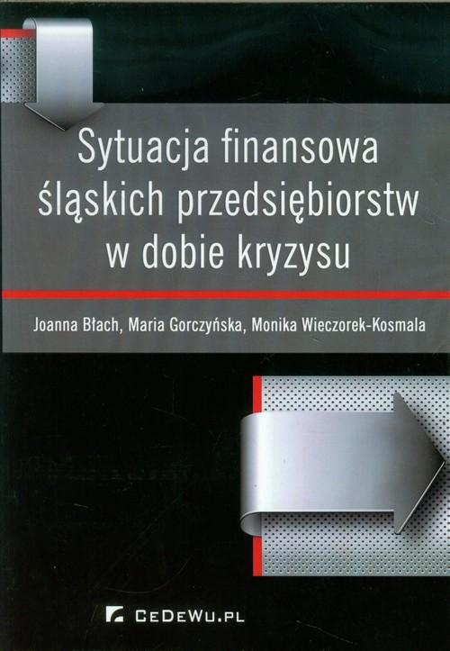 

Sytuacja finansowa śląskich przedsiębiorstw w dobi