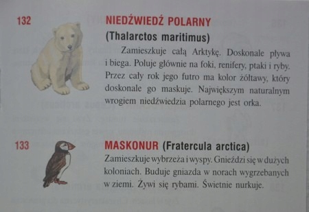 Edukacyjny GLOBUS Zoologiczny 22cm Książka GŁOWALA Rodzaj zoologiczny