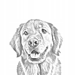 

Golden Retriever Trójkątne kolczyki z nadrukiem