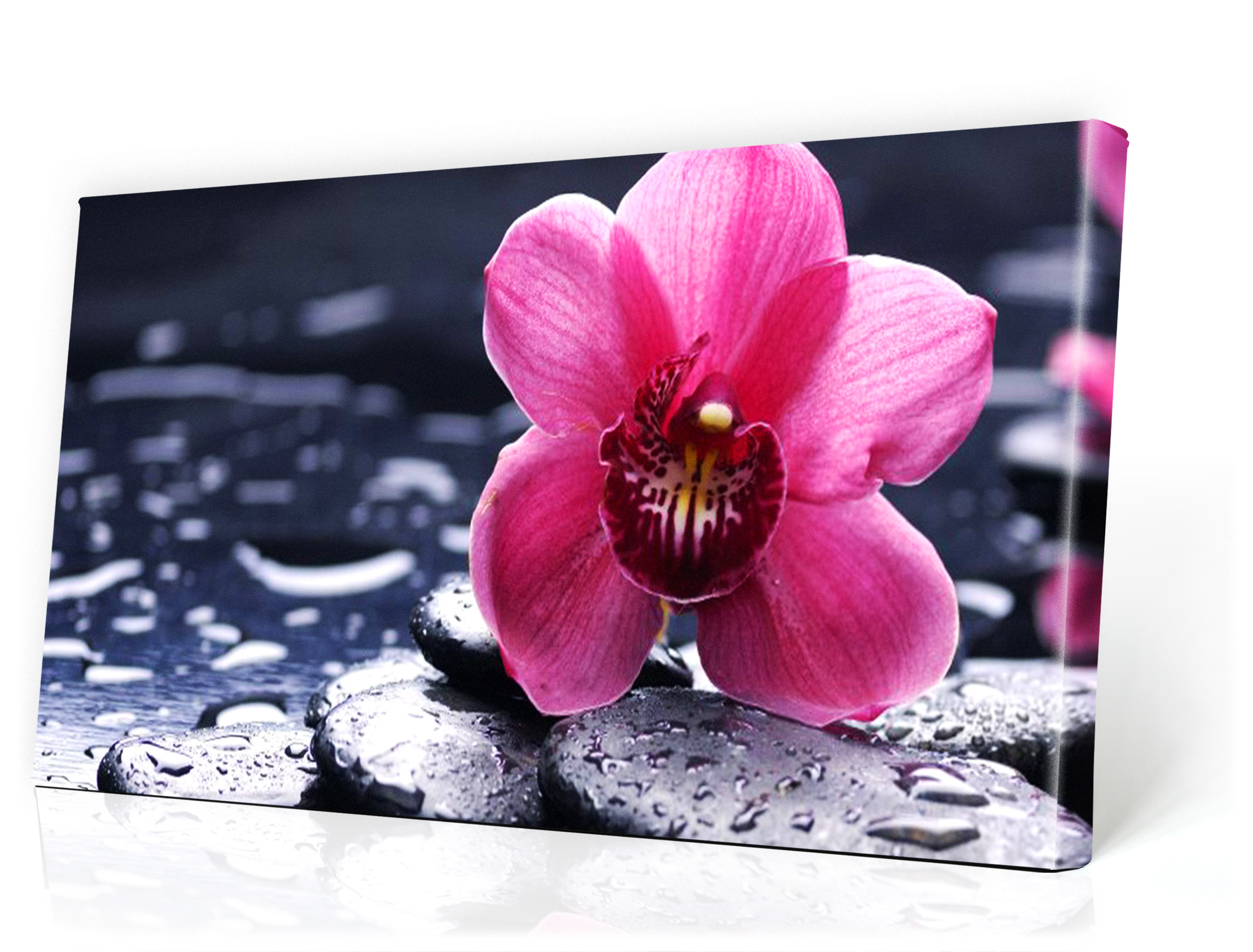 

obraz 100x40cm Spa Kwiat Kamienie Storczyk obrazy