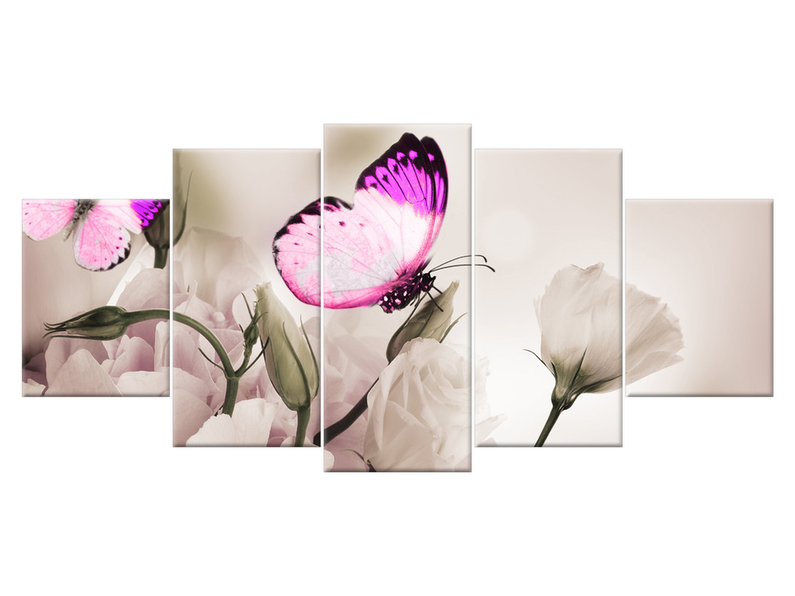 

Obraz Motyli raj 150x70 Kwiaty 1242A_5B do salonu