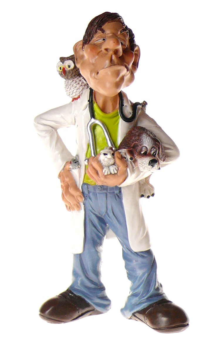 ФИГУРКА ВЕТЕРИНАР ПОДАРОК ДЛЯ ВЕТЕРИНАРА