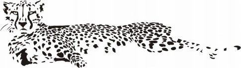 

Naklejka na ścianę gepard - Dzikie koty 27