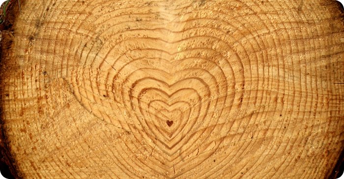 KUPRAFUNG P impregnat do drewna ZIELONY 1:13=130L Marka KUPRAFUNG