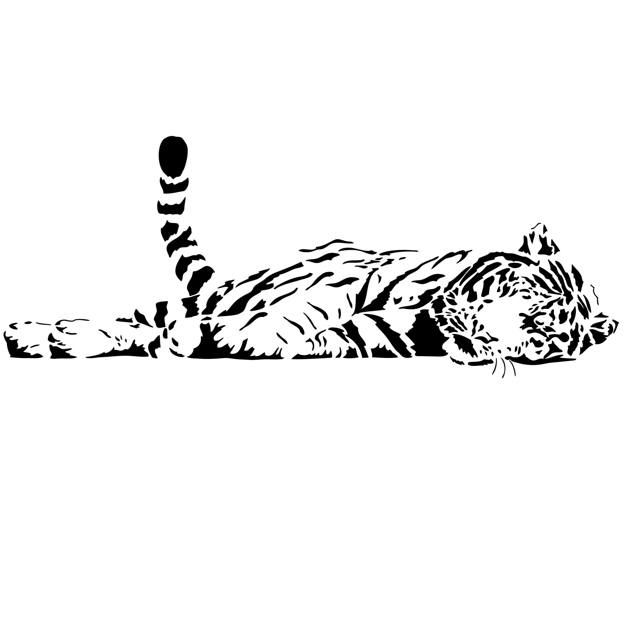 Тигр лежит