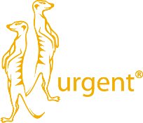 URGENT 241 BUTY ROBOCZE ZAMSZOWE BEZ PODNOSKA r 47 Rozmiar 47