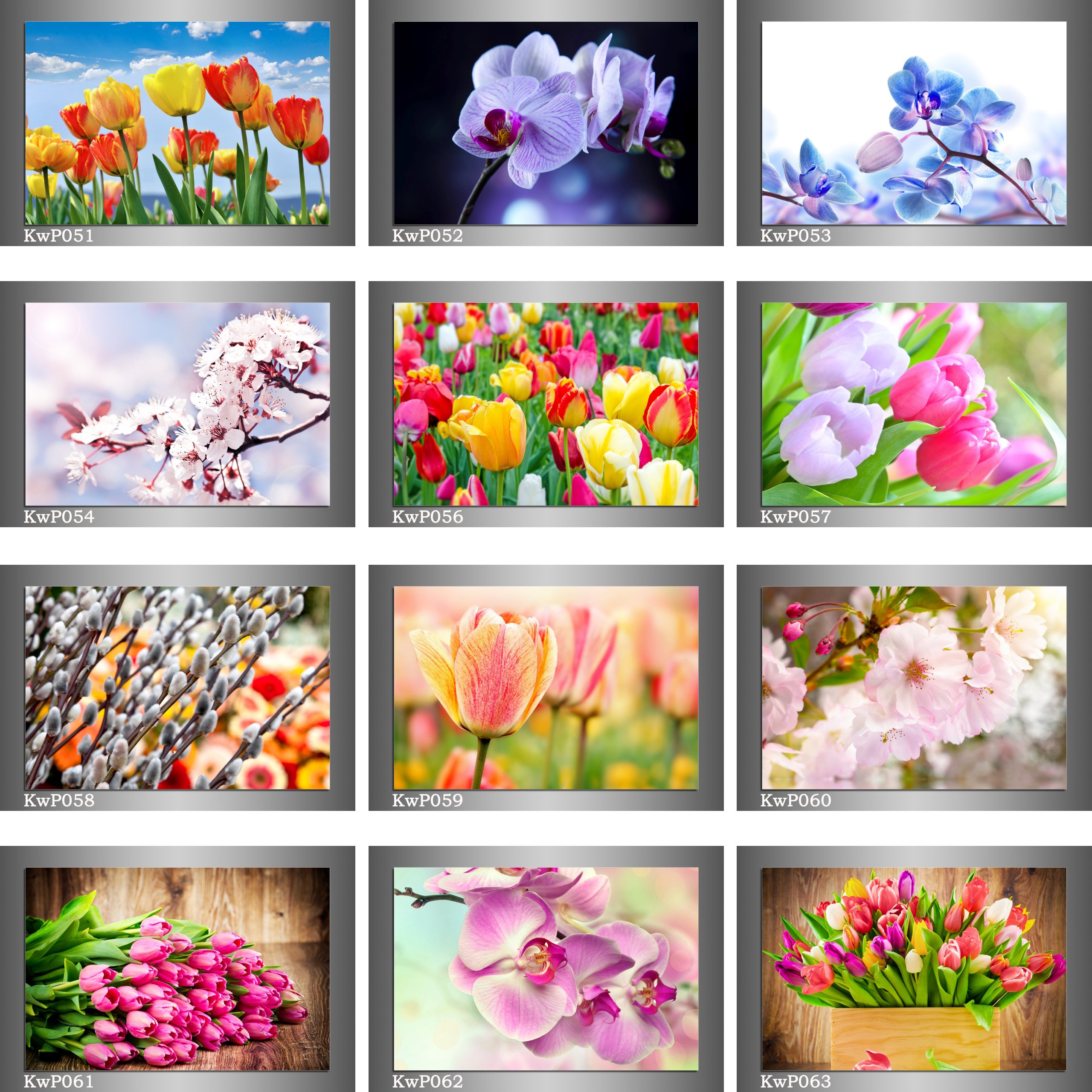 # Obraz/y na płótnie kwiaty białe tulipany 45x30cm Szerokość (cm) 41 - 50