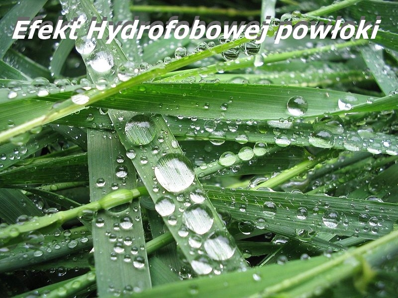 ZESTAW PIELĘGNACJA MYCIE IMPREGNAT ZLEWOZMYWAK Marka bez marki