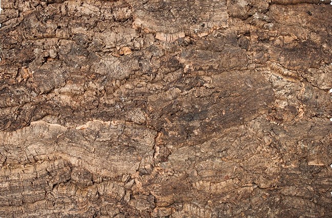 Dekorativní nástěnná zátka, obložení Virgin