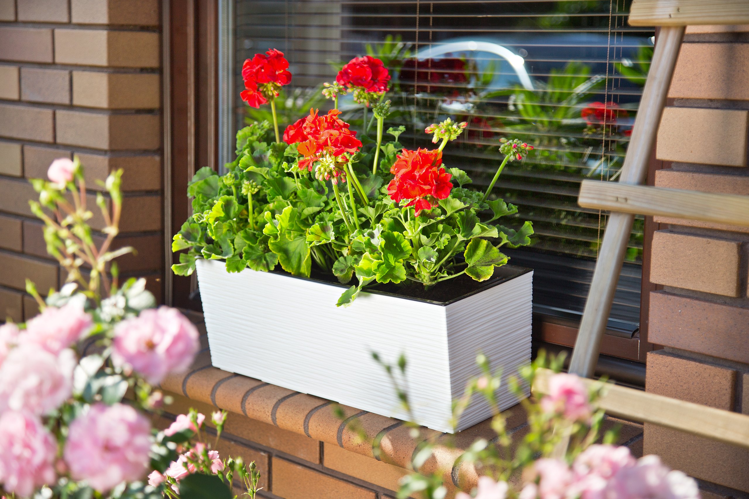 SKRZYNKA BEGONIA DŁUTO 19x56 h29,5 WKŁAD MOKKA Marka Lamela