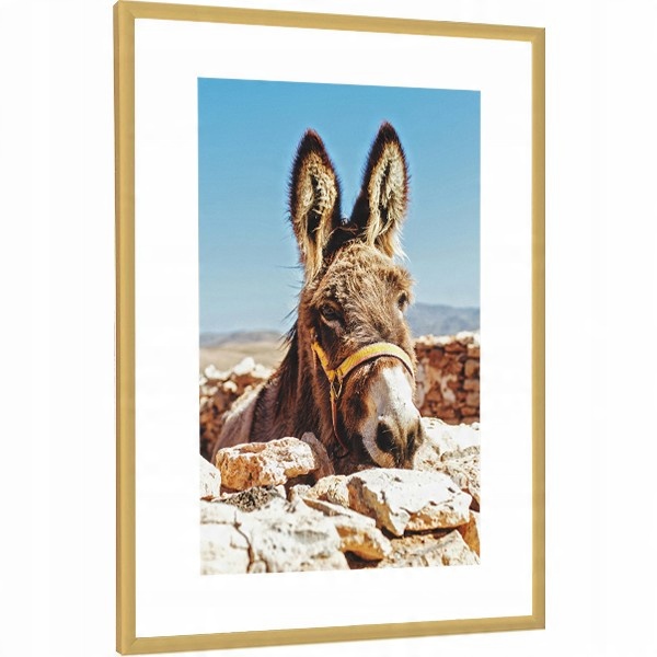 

Ramka Na Zdjęcia Złota Rama Aluminiowa 50x60