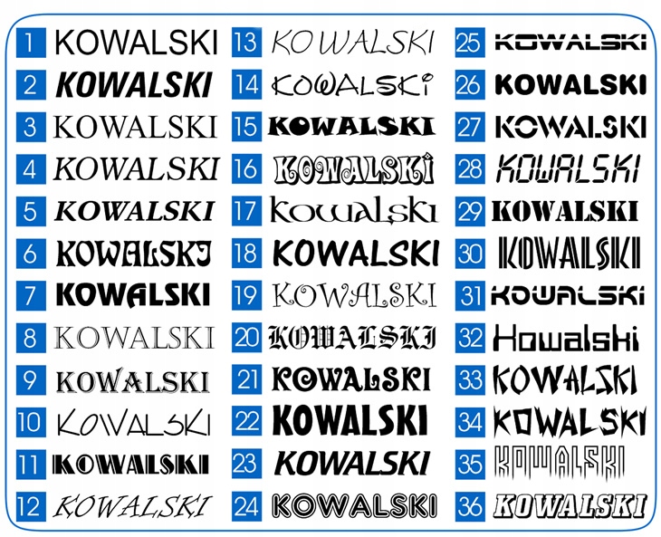 Tablica imienna ledowa 50x16 TIR LED dla kierowcy Producer Moman