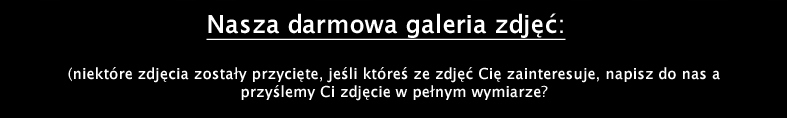 FOTO OBRAZ RAMA ALUMINIOWA Z TWOIM ZDJĘCIEM 70x100 Marka inna