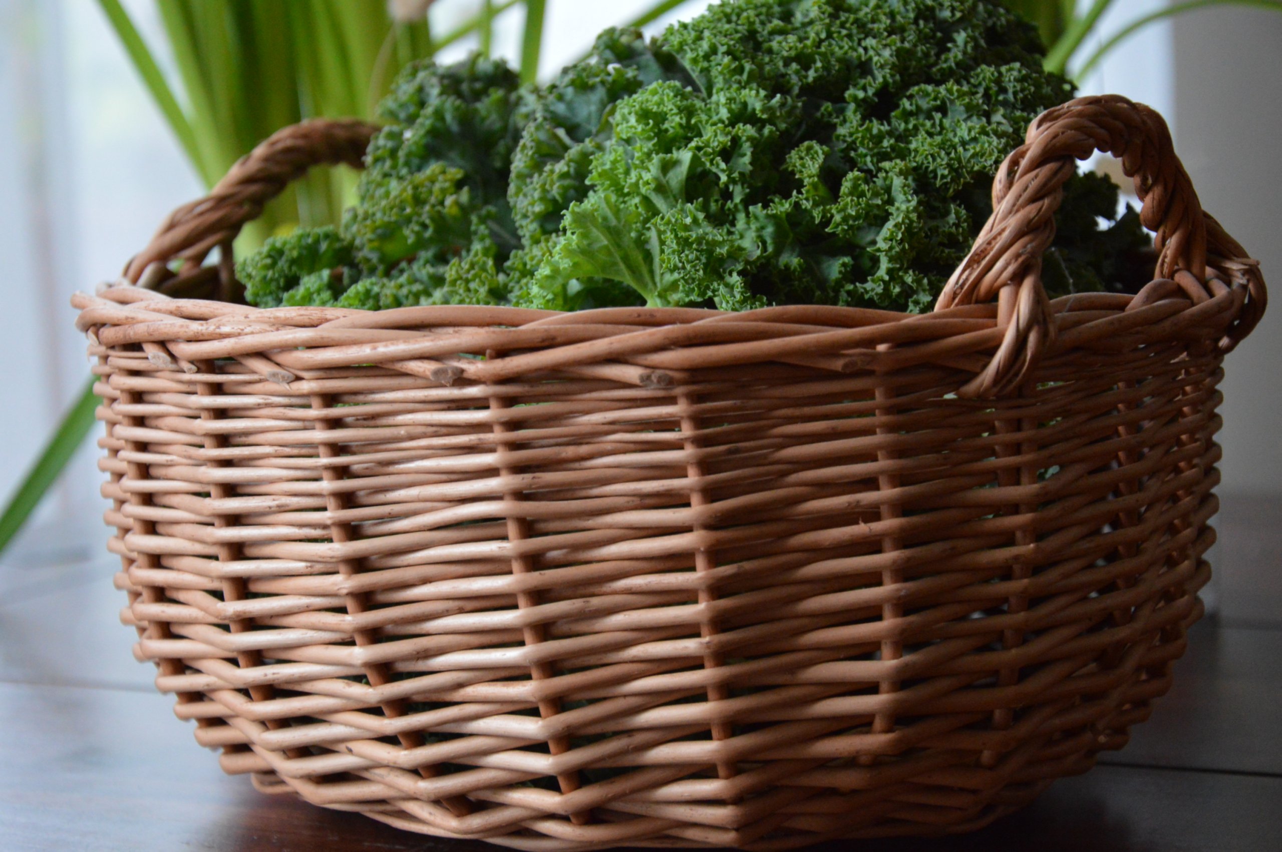 Solidna taca wiklinowa z uszkami- taca na owoce Kod producenta TWU01