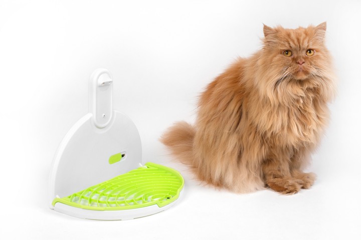 Myfleatrap Recenze