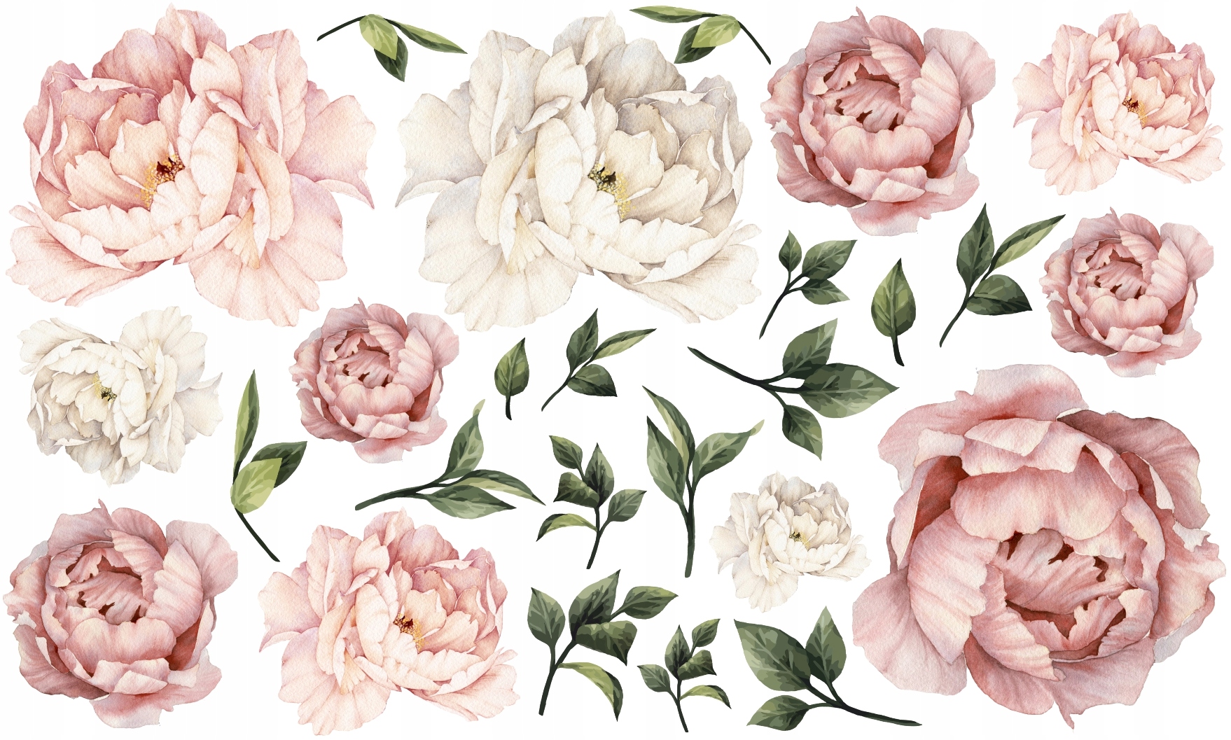 

Peonie kwiaty Piwonie naklejki Na Ścianę 100x60 XL