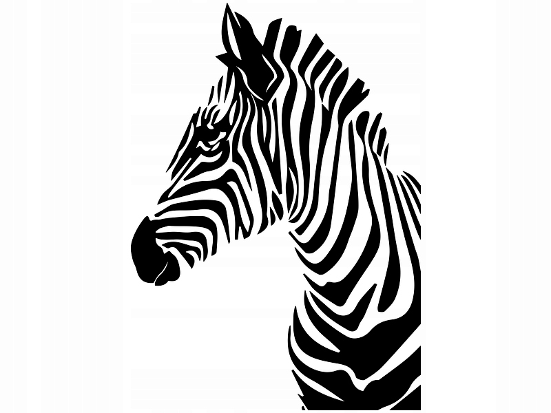 

Naklejka dekoracyjna na ścianę Zebra 50 cm