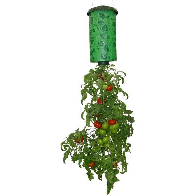 

Planter Doniczka Wisząca Na Truskawki Pomidory