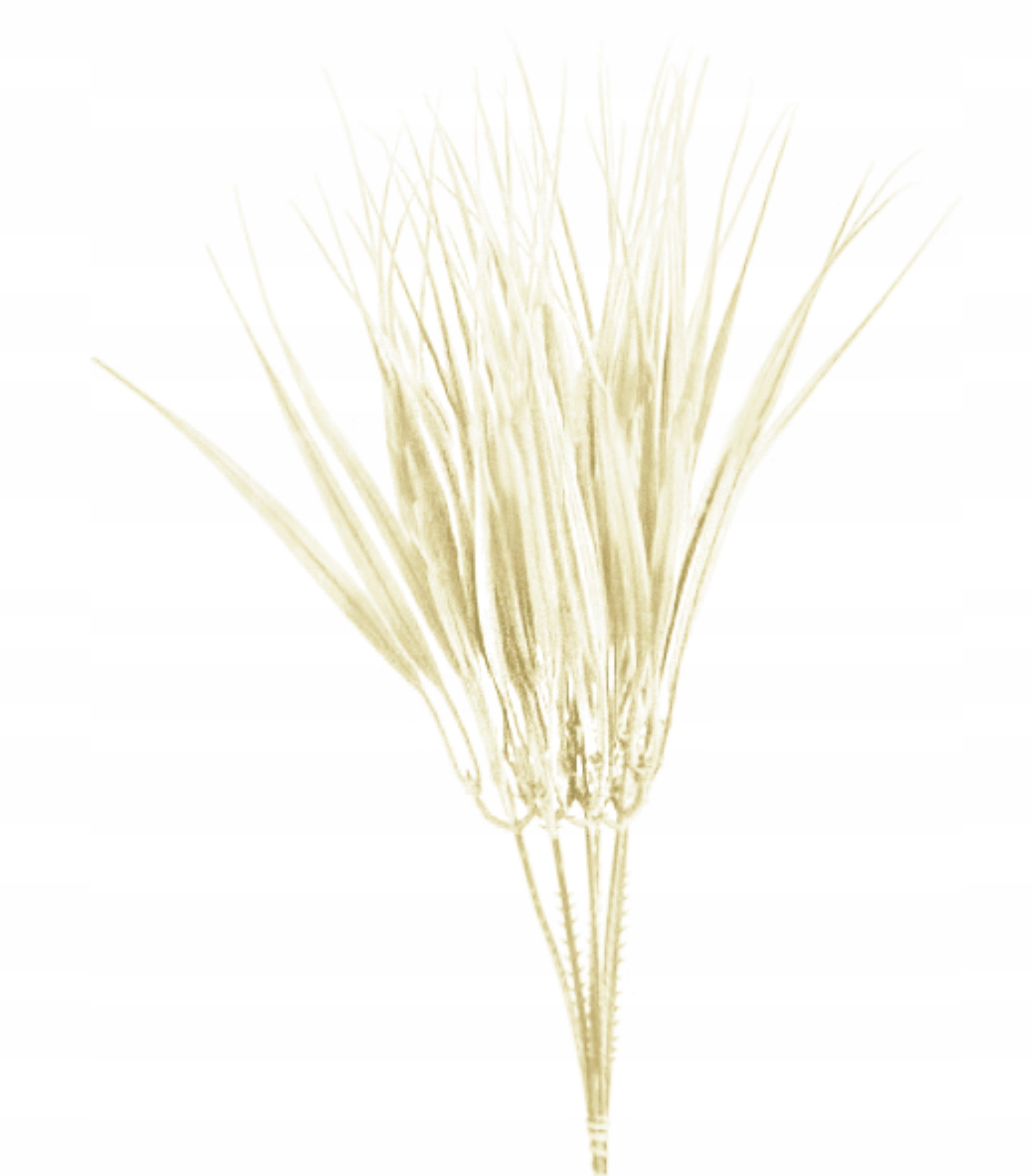 

Trawa W Pęczku 6 Gałązek 30cm Fiber