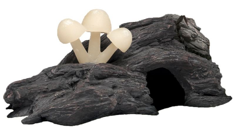 EXO TERRA Pálenie huby súk jaskyňa