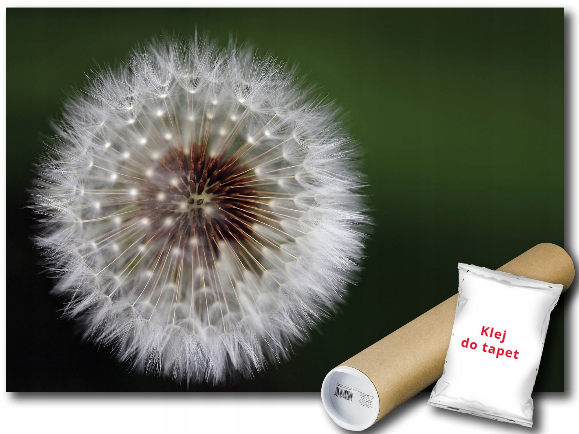 Fototapeta Pampeliška 9A F3XL 416x254 F2019