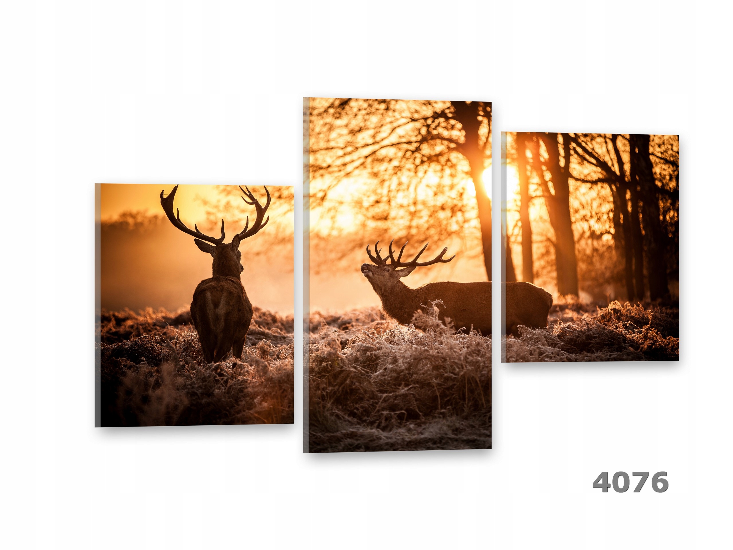 ROWER Obrazy na płótnie 90x60 Obraz Canvas Materiał wykonania płótno