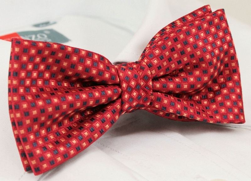 Modna mucha z poszetką - Alties Marka inna