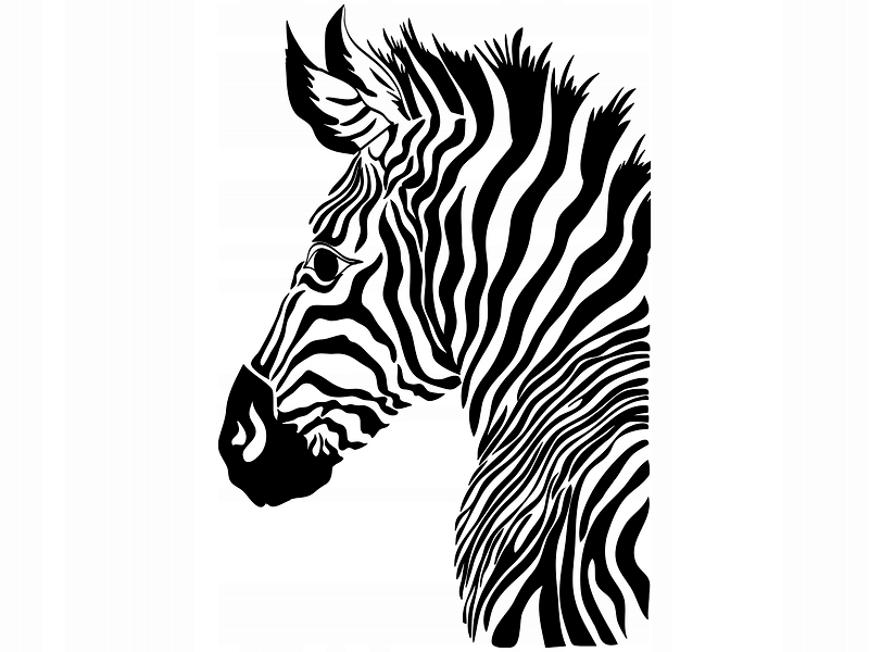 

Naklejka dekoracyjna na ścianę Zebra 50 cm