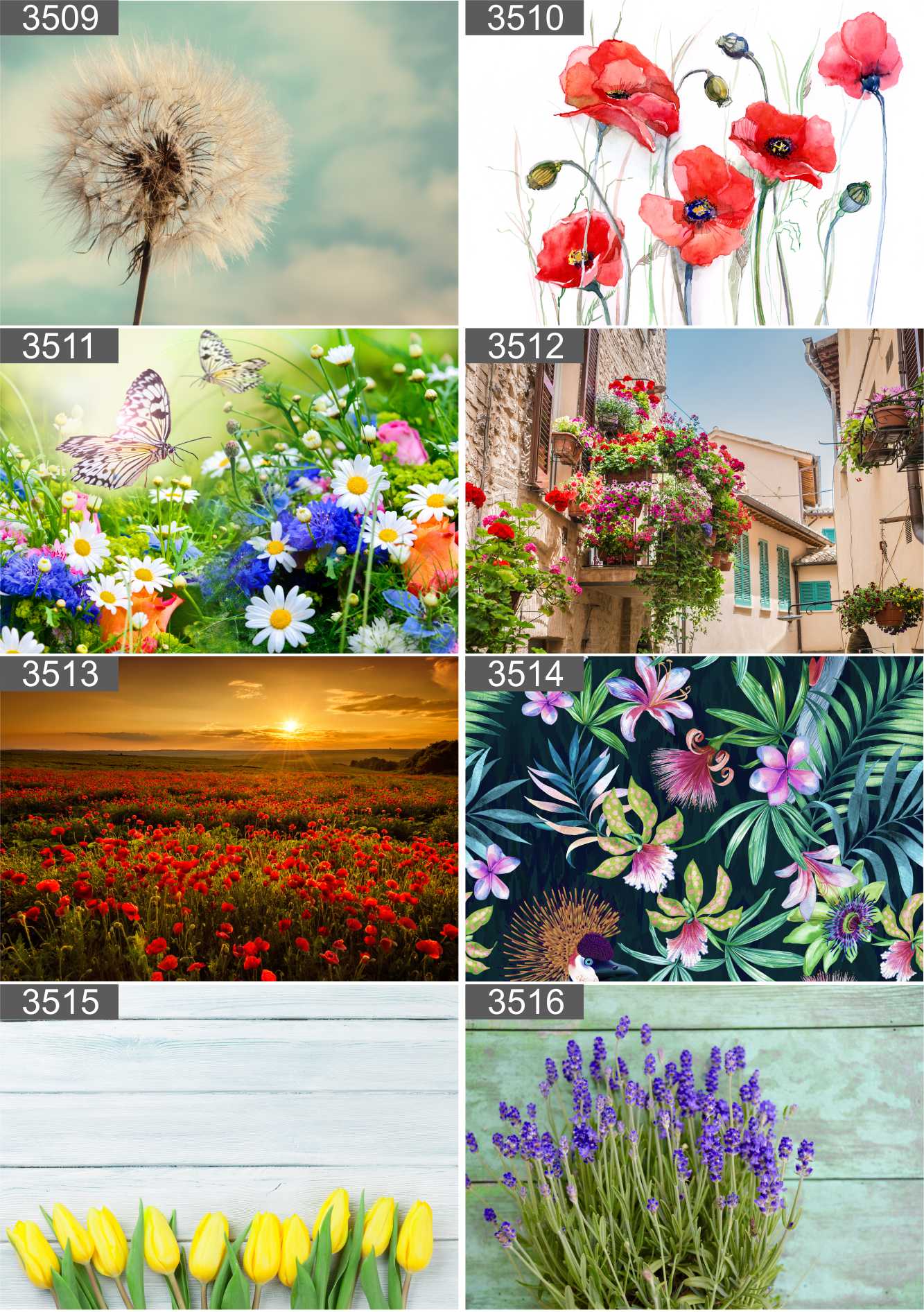 PLAKAT POSTER LAS NATURA MGŁA 90x60 MAX WYBÓR Rodzaj bez ramy