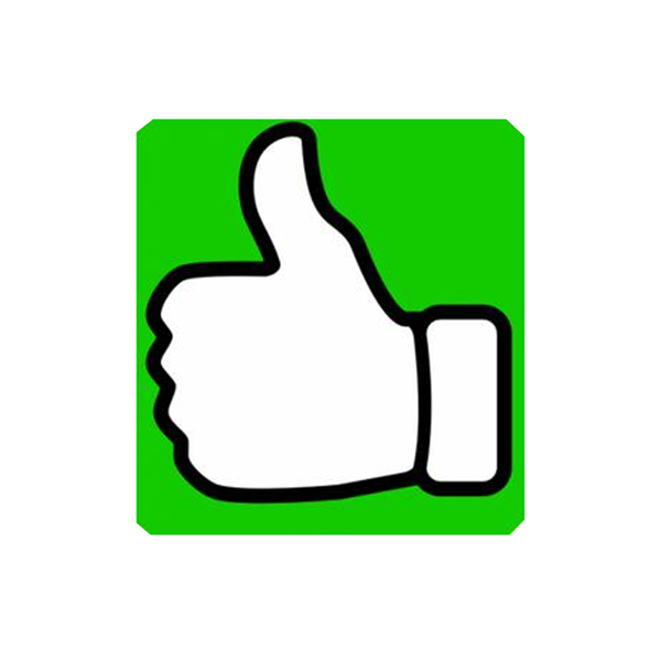 Filc Koc MATERIAŁ OBICIOWY szer2m POLSKI 1m2 Długość 200 cm