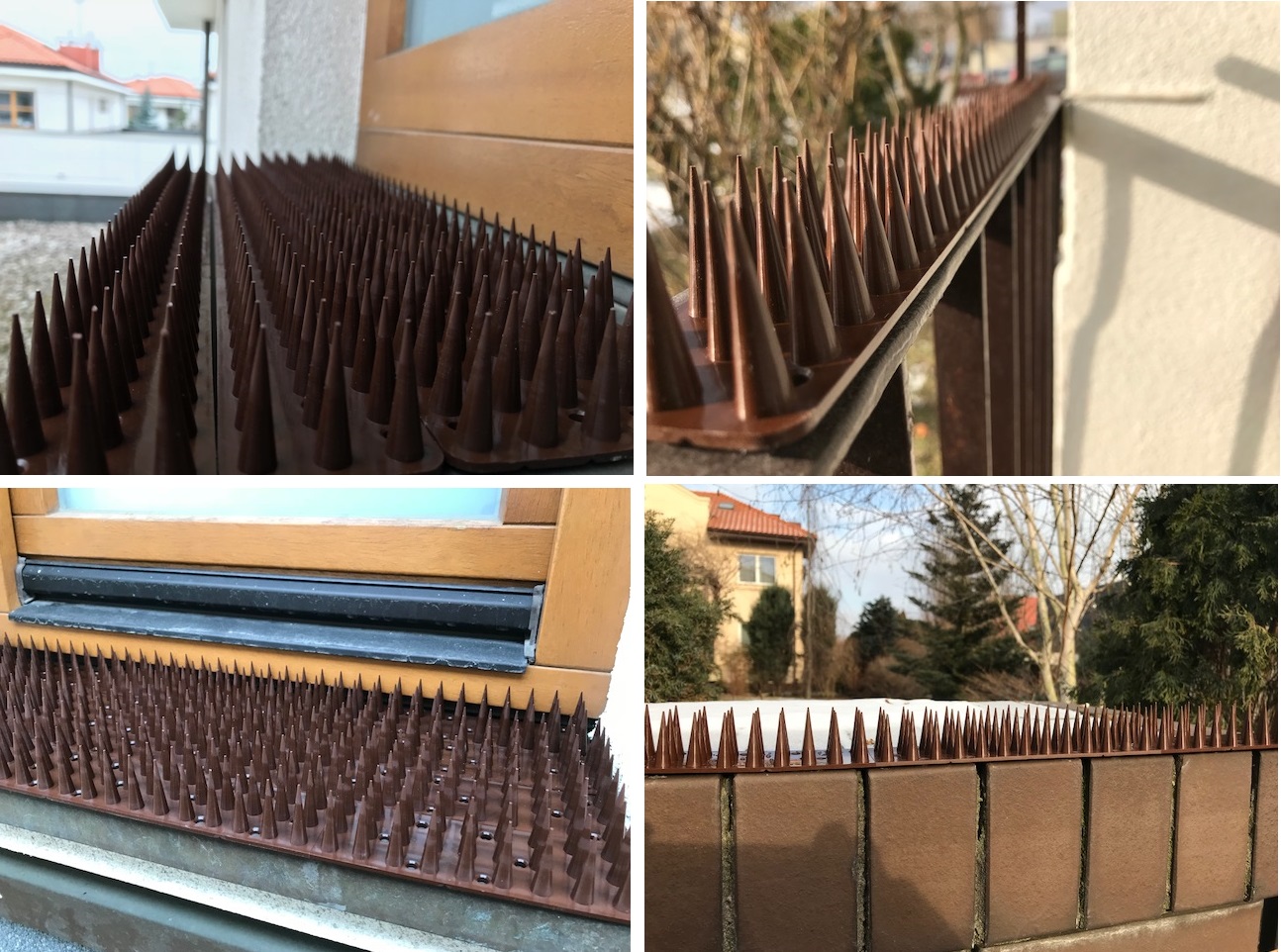 PLASTIKOWE KOLCE NA PTAKI PRZECIW PTAKOM WYS 3 cm Rodzaj kolce