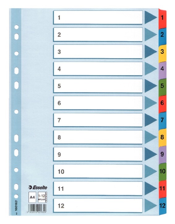 

Przekładki Esselte Mylar Kartonowe 1 12 A4