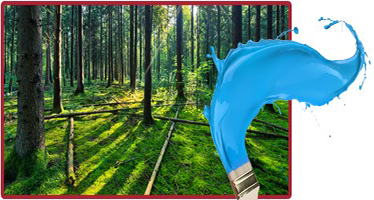 łóżko piętrowe DZIECIĘCY RAJ 2 ze schodkami (bez stelaży i materacy) połysk Długość 254 cm