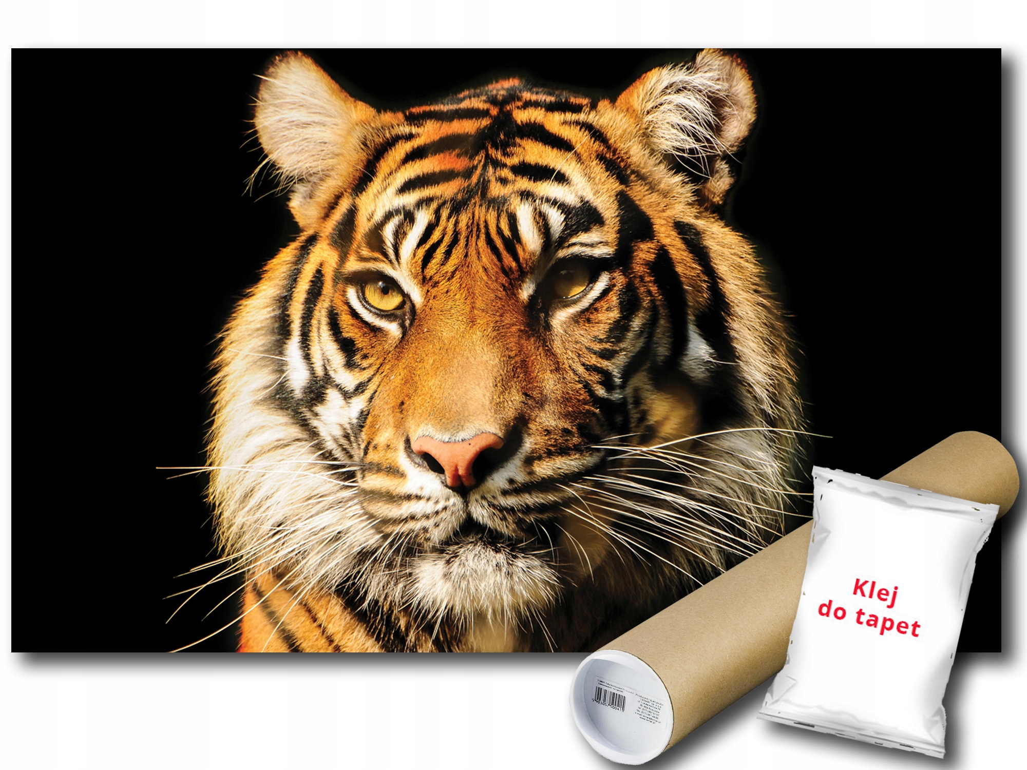 Fototapeta Tygr 12C Fxl 208x146 F1964