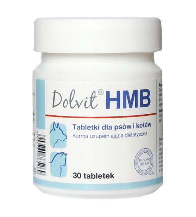 Dolfos Dolvit Hmb 90 tabletek Rekonvalescence
