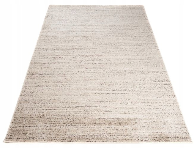 

Dywan Fresh 60x100 Nowoczesne Skandynawskie t6cr