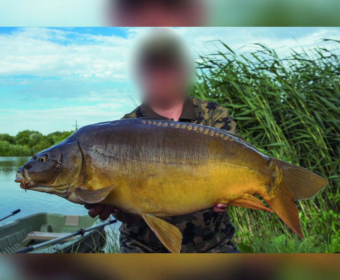 PUDEŁKO NA ROBAKI I PRZYNĘTY ROŚLINNE MISTRALL Marka Mistrall