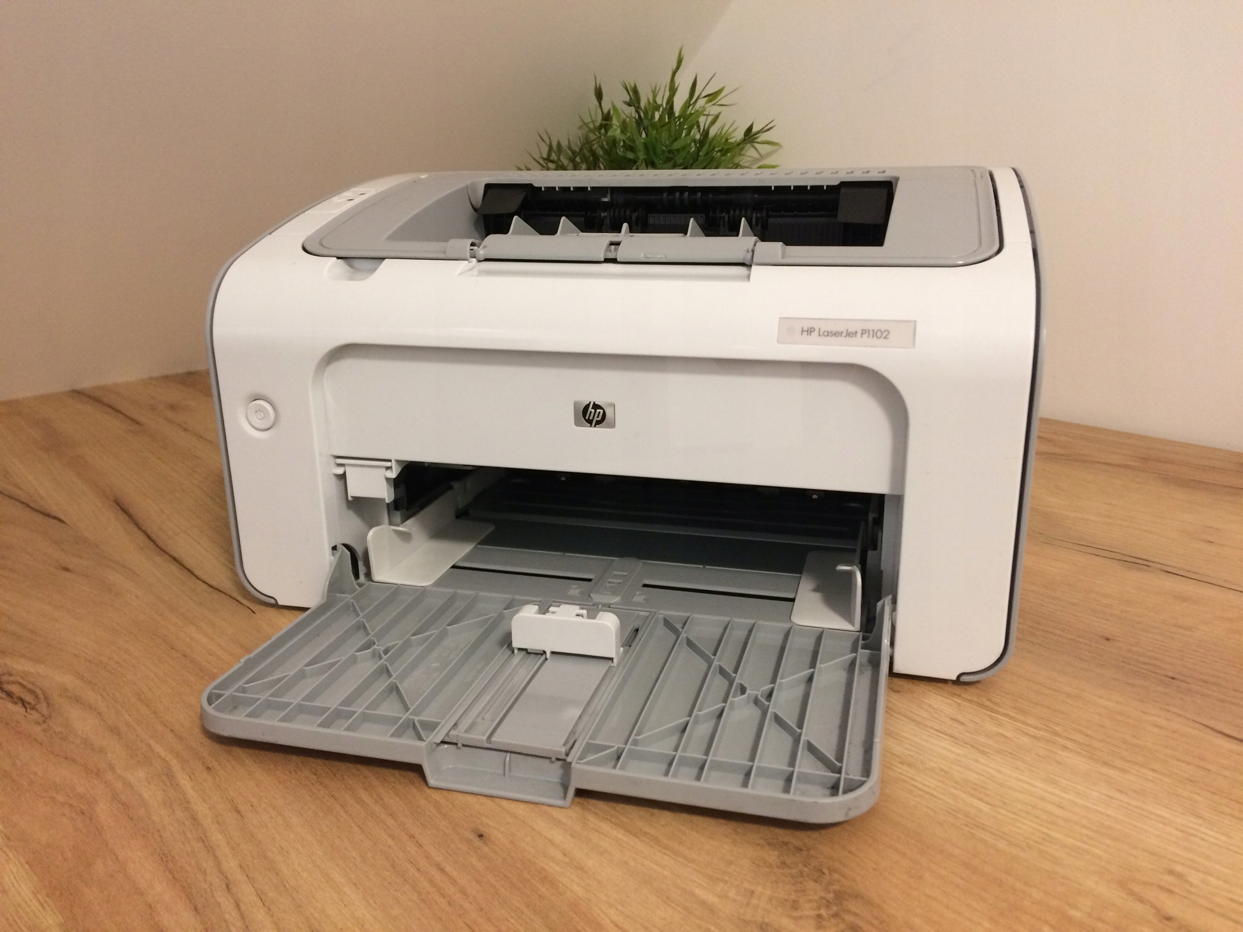 Принтер hp laserjet p1102 треск при включении