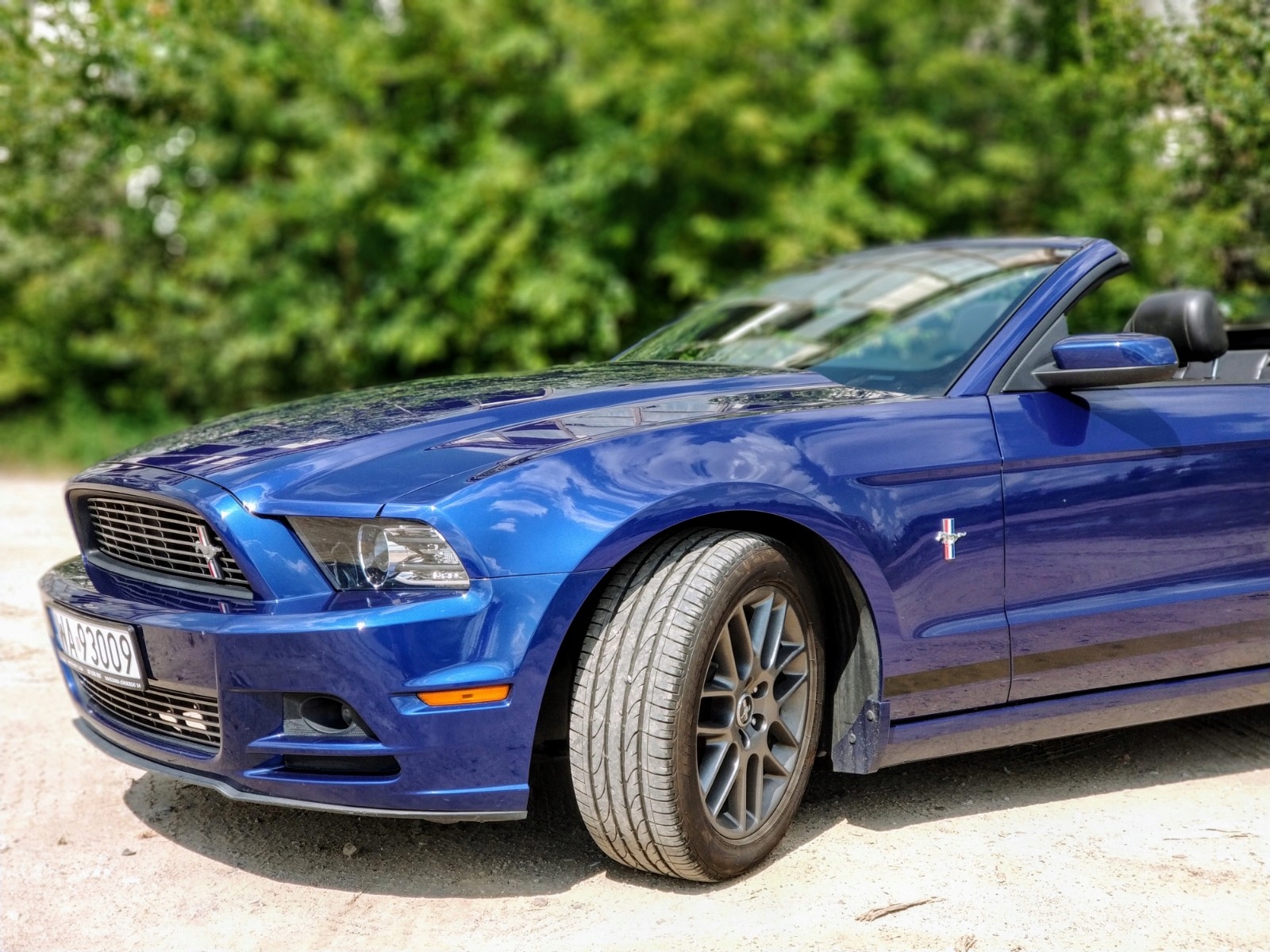 Ford mustang club