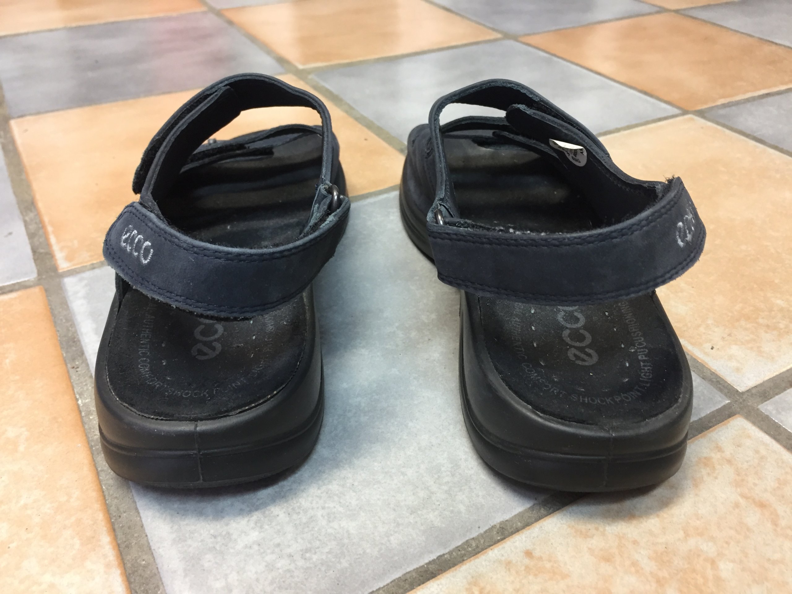 ecco light shock point