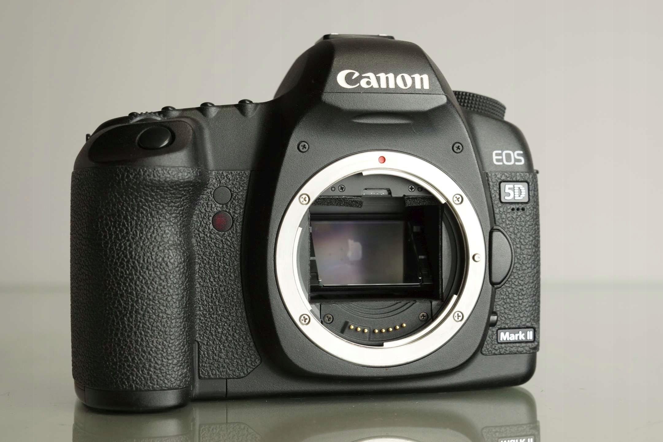 Canon EOS 5D Mark II 21.1 MP デジタル一眼 ボディ 爆安セール