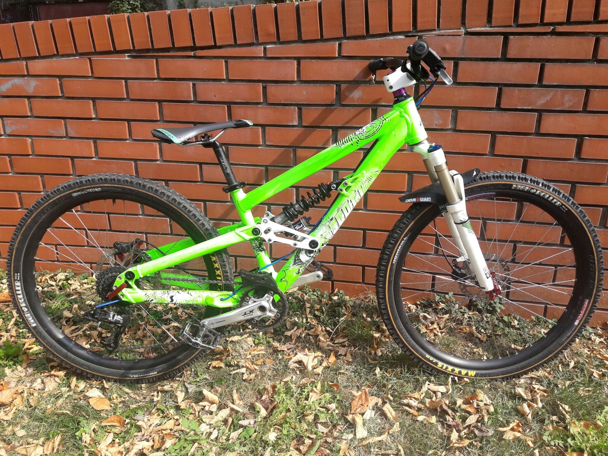 scott voltage dh