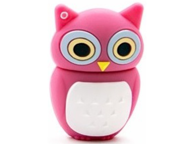

Pendrive Usb 16 Gb Sowa Brąz Róż Czarny Niebieski