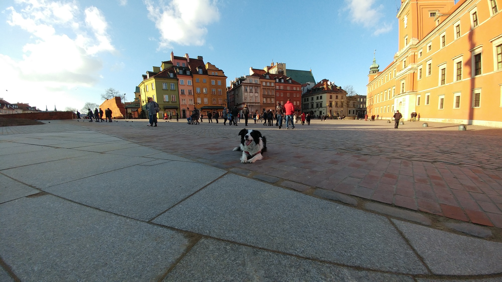 dystorsja