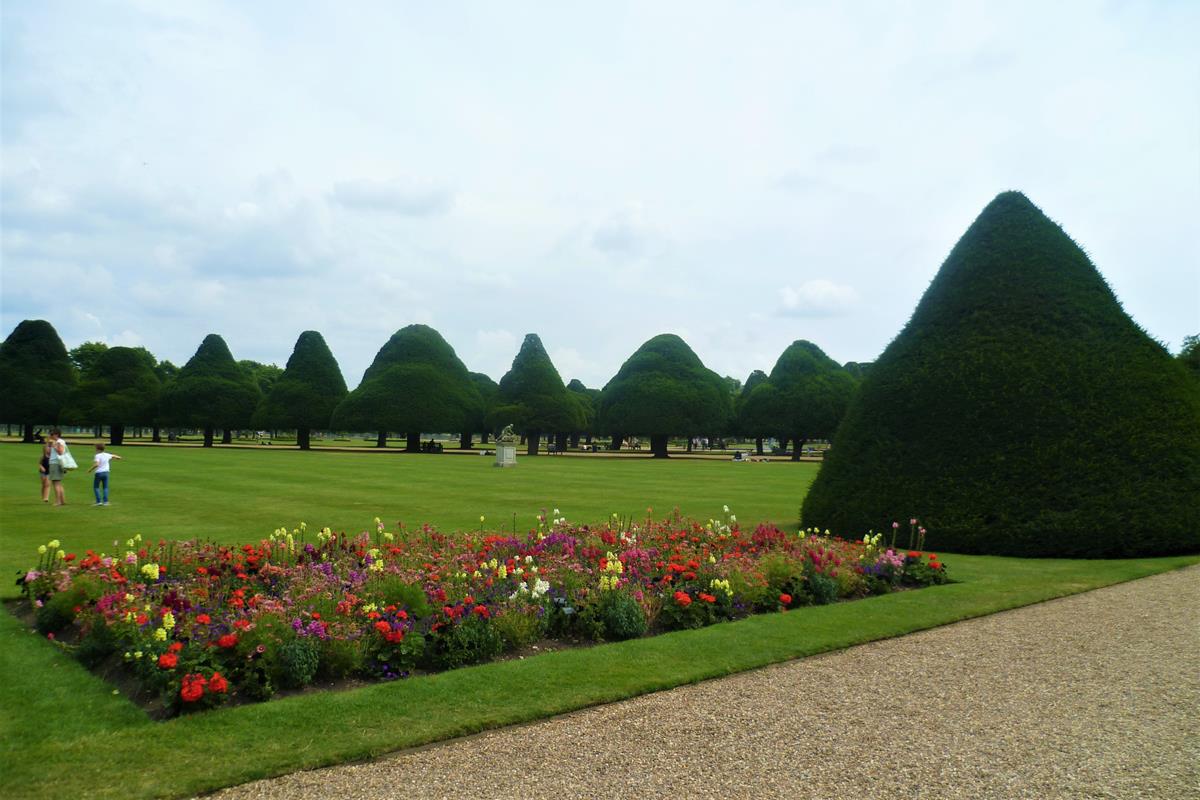topiary tree