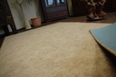 фото mini №10, Carpet serenade 400x450 without smooth mild@69018