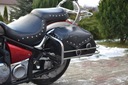 Gmole задний+дуги kawasaki vulcan 900 vn 9003, купить с разборки