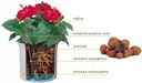 фото mini №5, Liner 18/ 12 processing plants в hydroponics without winters